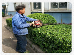 1531111584116185.png image016.png