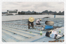 1531111761236932.png image028.png