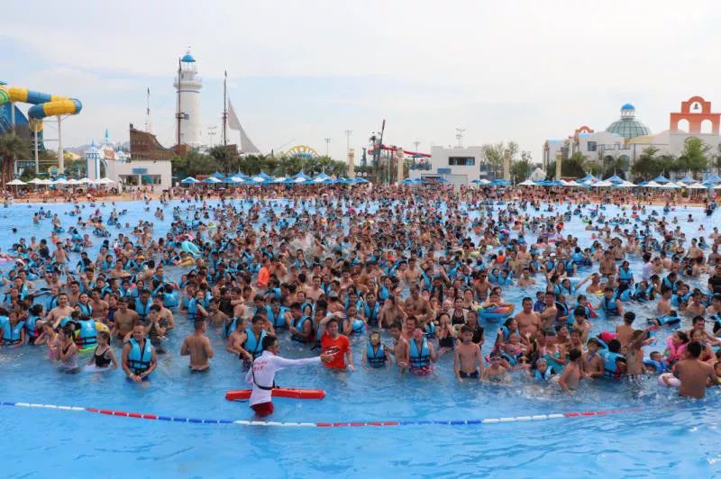 1533721797739027.jpg 2.webp.jpg