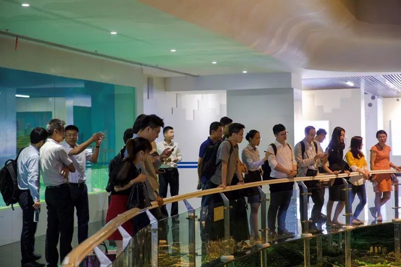 1535720461103590.jpg 15.webp.jpg