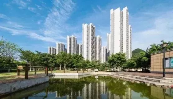 1541862958880473.jpg 20181110_231013_002.jpg