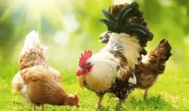 1550240800994421.jpg 360截圖20190215222515113.jpg