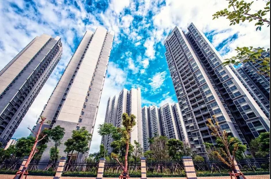 1553007826139978.jpg 微信圖片_20190319230126.jpg