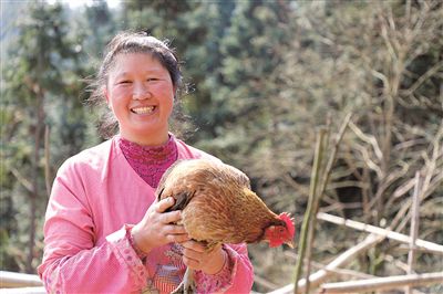 1553698250892479.jpg res03_attpic_brief.jpg