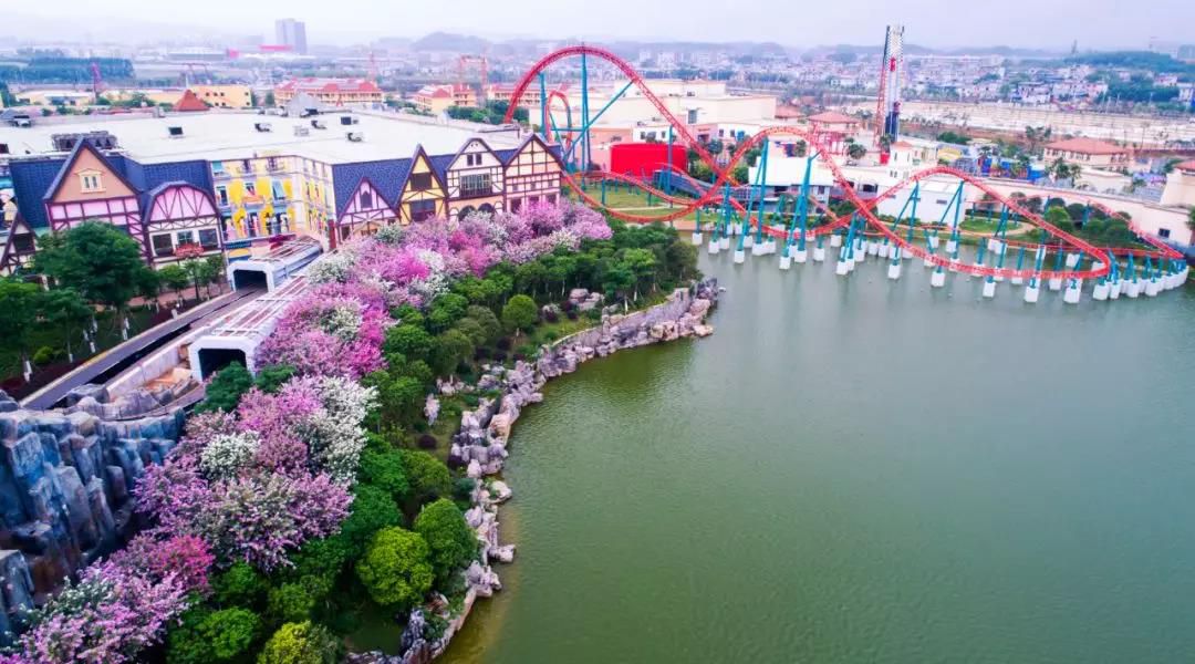 1553699729123643.jpg 微信圖片_20190327231333.jpg