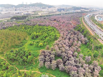 1555598404334916.jpg res01_attpic_brief.jpg