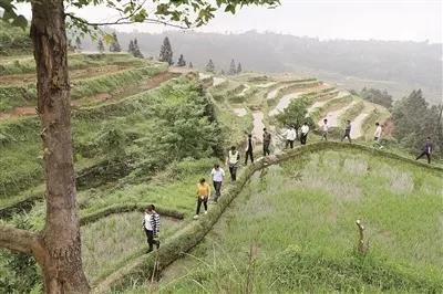 1558882005138790.jpg 微信圖片_20190526223903.jpg