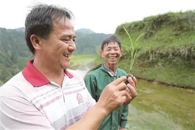 1558882046847553.jpg 微信圖片_20190526223915.jpg