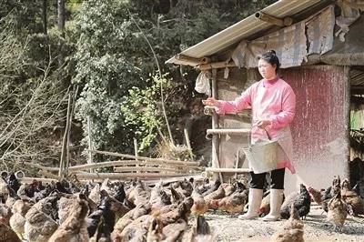 1558882335224496.jpg 微信圖片_20190526223918.jpg