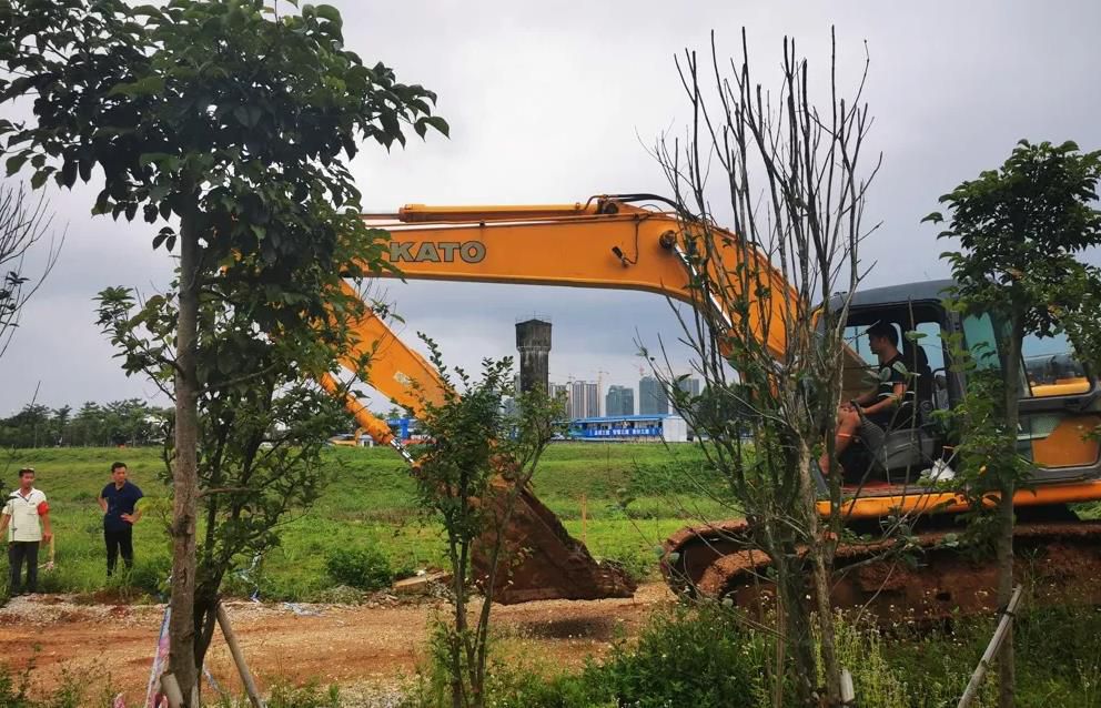 1561042276832664.jpg 360截圖20190620224601664.jpg