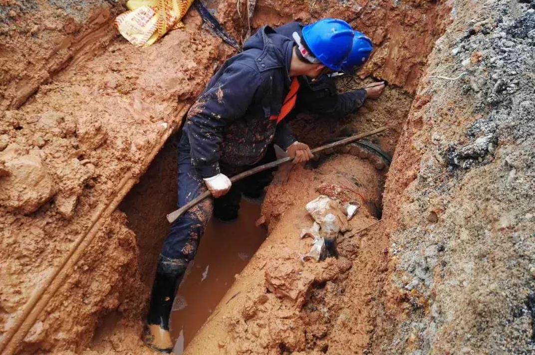 1561043940893942.jpg 360截圖20190620231002149.jpg