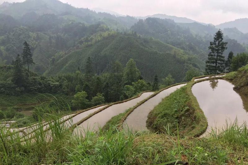 1561301508238912.jpg 1561301508238912.jpg