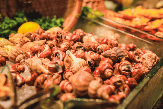 1562765590926732.gif 微信圖片_20190710212744.gif