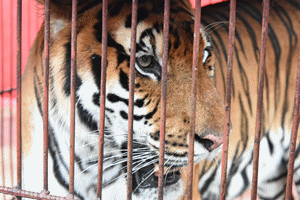 1563714415977380.gif 微信圖片_20190721210653.gif