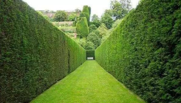 1564618901894544.jpg 微信圖片_20190801081703.jpg