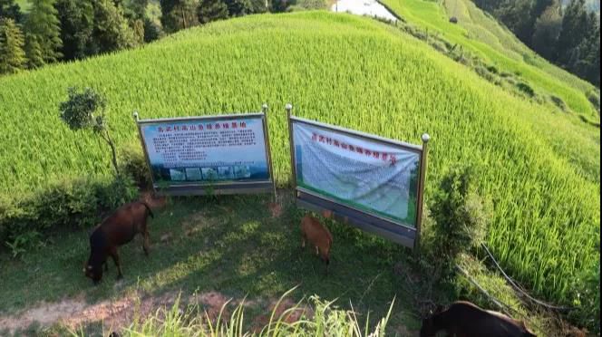 1566480184134293.jpg 微信圖片_20190822211414.jpg