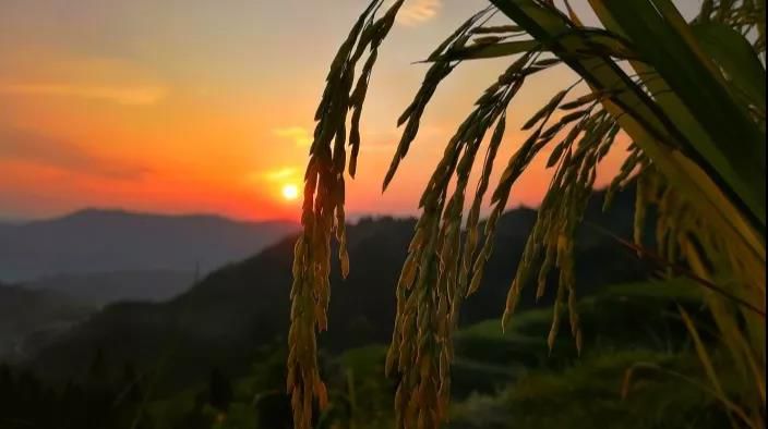 1566480190102312.jpg 微信圖片_20190822211420.jpg