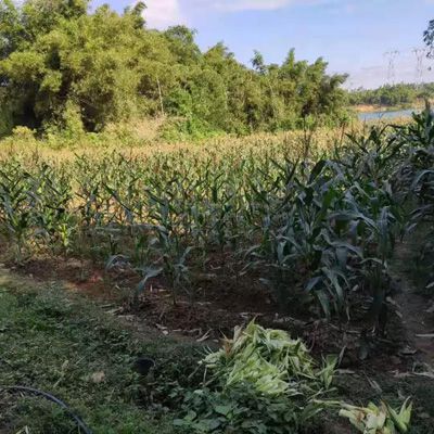 1571670708554163.jpg 微信圖片_20191020224526.jpg