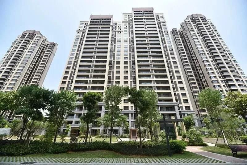 1573650197630071.jpg 微信圖片_20191113210008.jpg