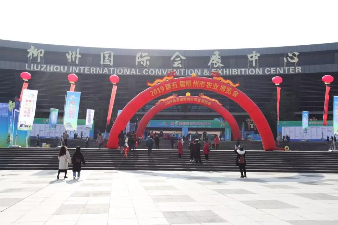 1577627294372569.jpg 20191229214624.jpg