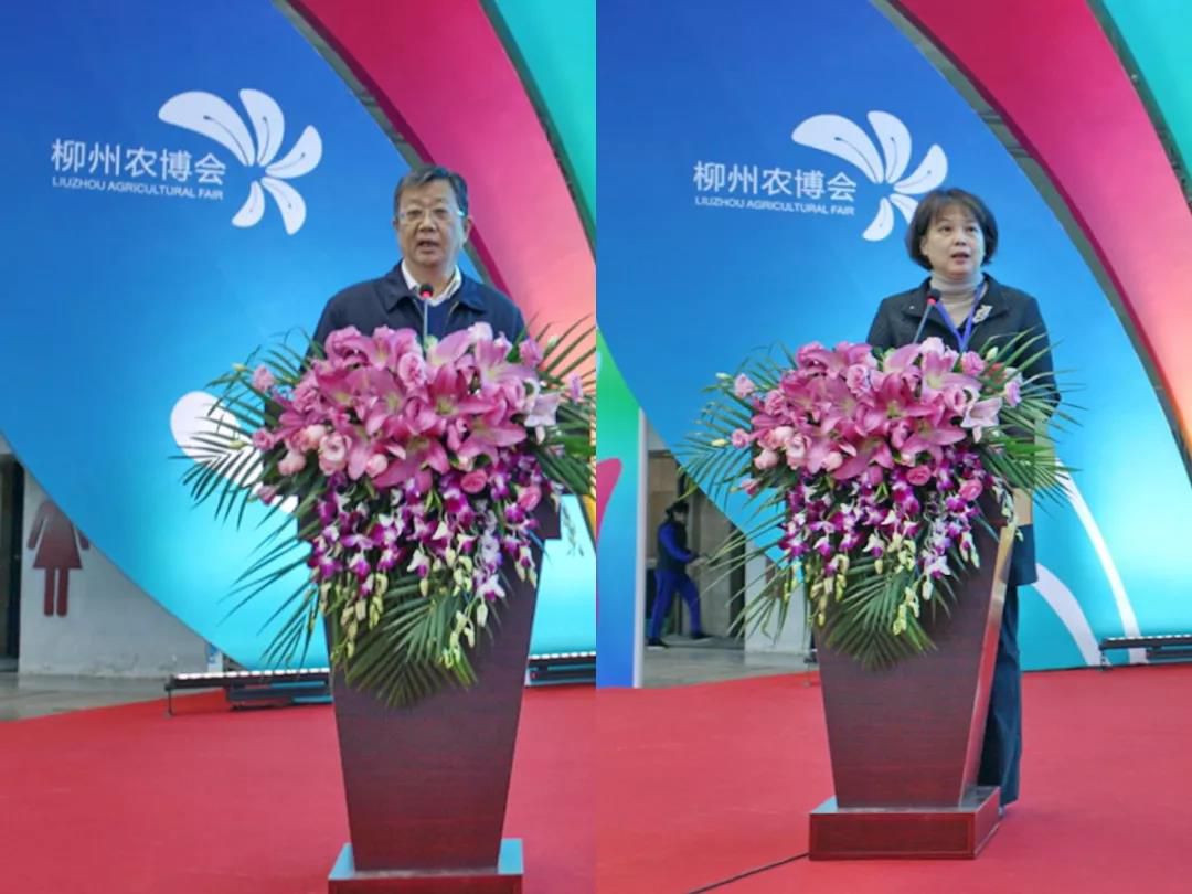 1577627326287237.jpg 20191229214651.jpg