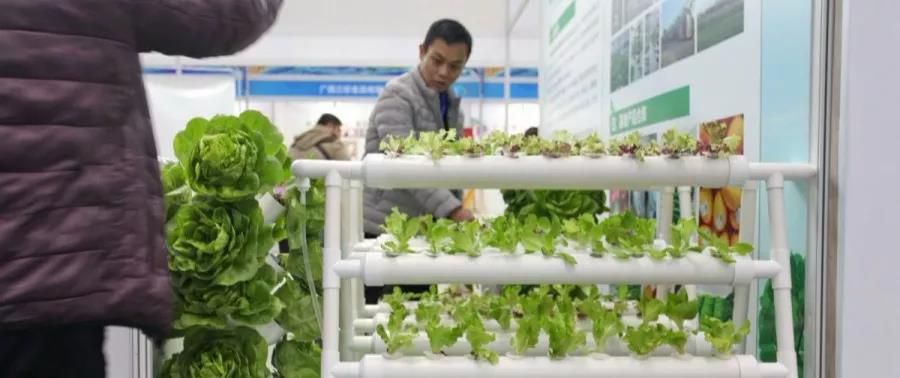 1577627407104485.jpg 20191229214756.jpg