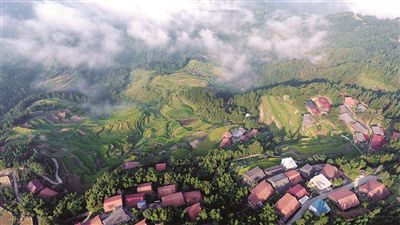 1579097830125910.jpg 5.jpg