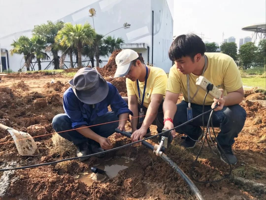 1585486584565781.jpg 1585486584565781.jpg