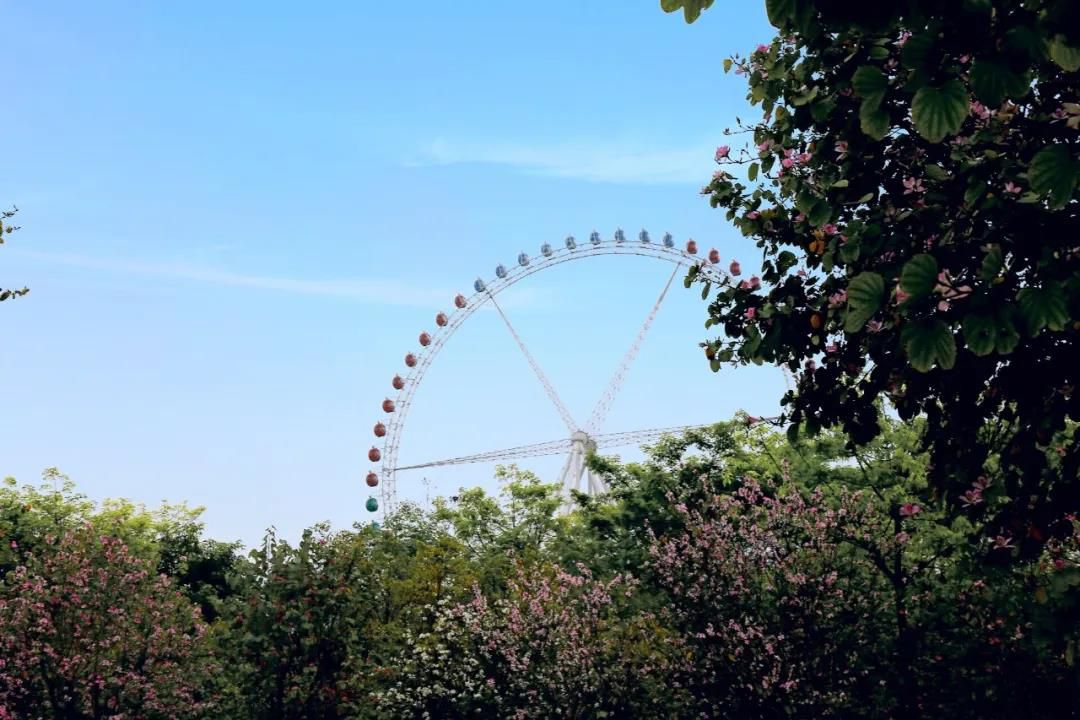 1585835507783393.jpg 1585835507783393.jpg