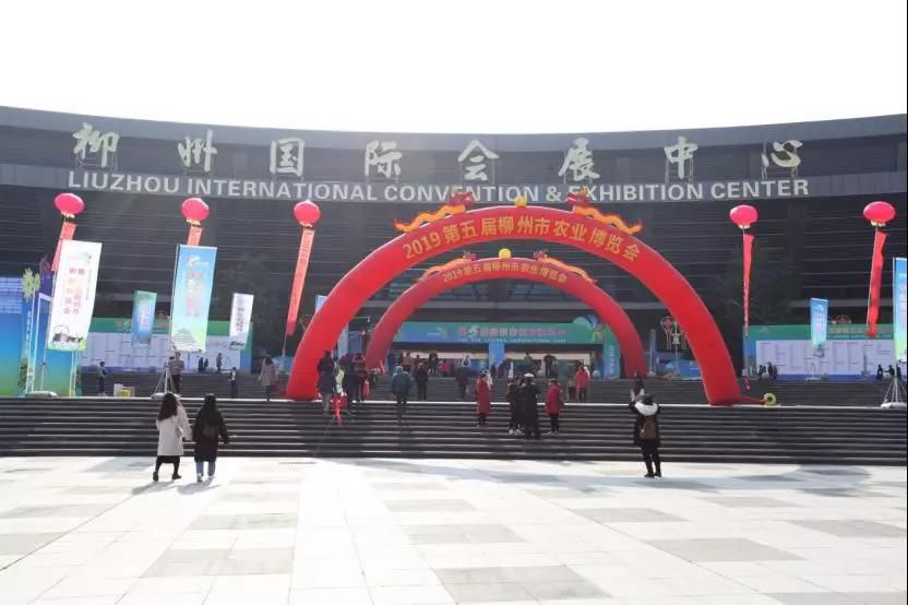 1586447167294681.jpg 1586447167294681.jpg