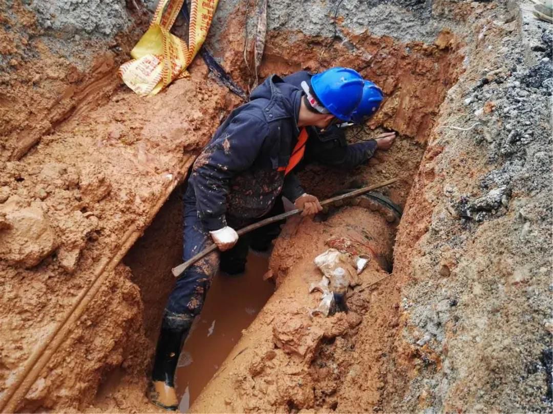 1586960460549515.jpg 20200415220742.jpg