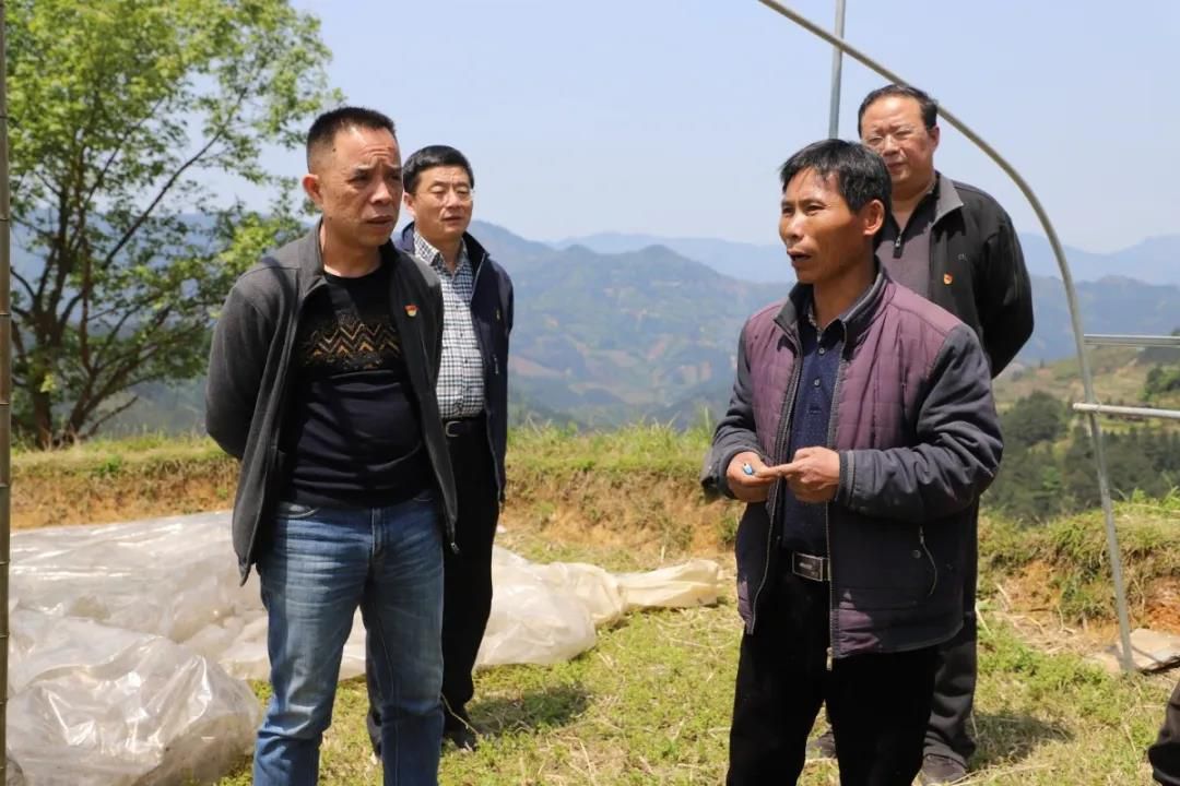 1587130103864594.jpg 20200417212819.jpg