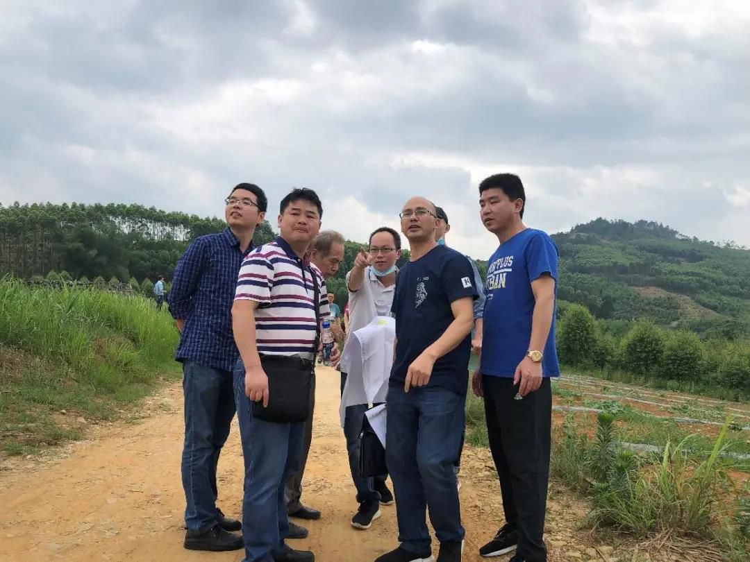 1589721321116013.jpg 1589721321116013.jpg