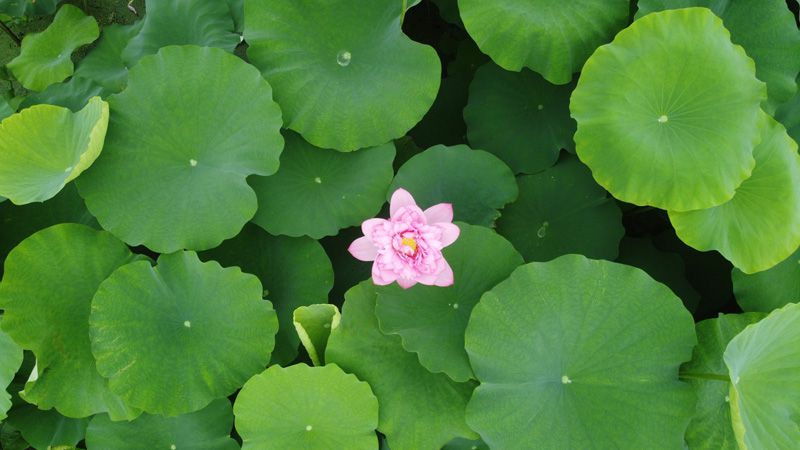 1593570597322351.jpg image001.jpg