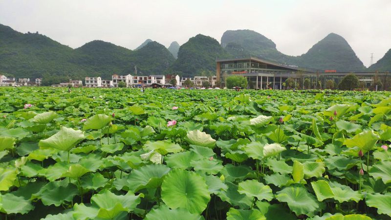 1593570602890930.jpg image003.jpg