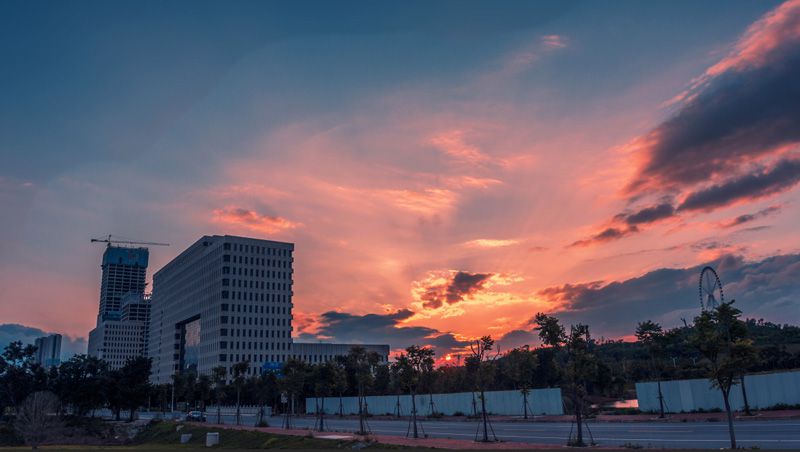 1593771168123440.jpg image004.jpg