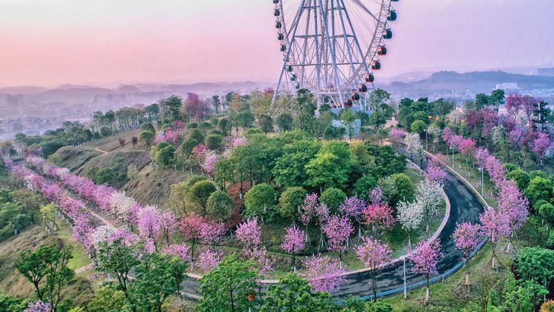 1593771182656406.jpg image006.jpg