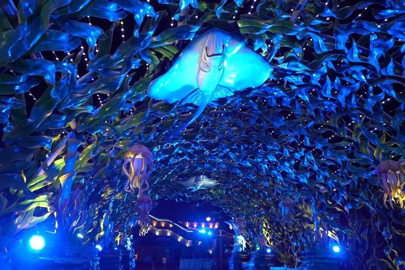 1595859107584371.jpg 6.jpg