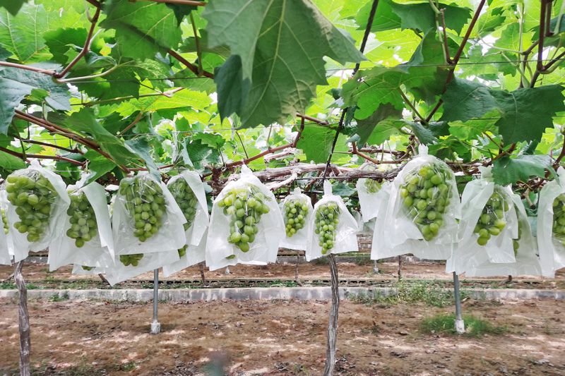 1597112268128449.jpg image001.jpg