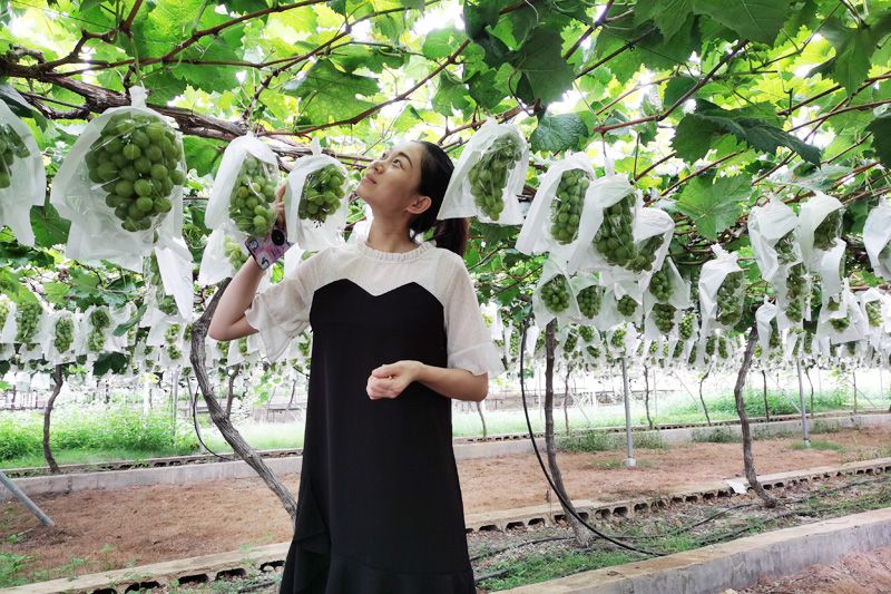 1597112278874793.jpg image003.jpg