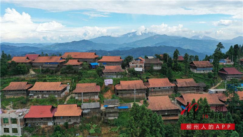 1597370264100939.jpg 1.jpg