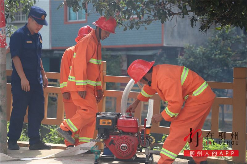 1597370303836064.jpg 6.jpg