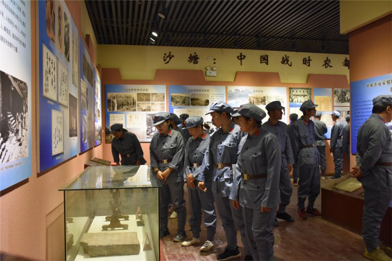 1605449746127666.jpg 12.jpg