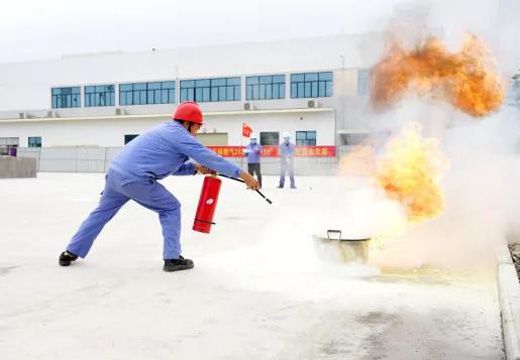 1607260867427865.jpg 20.jpg