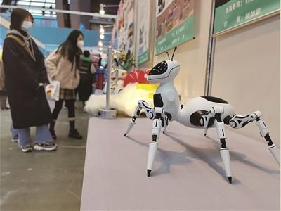 1608473217131462.jpg 19.jpg