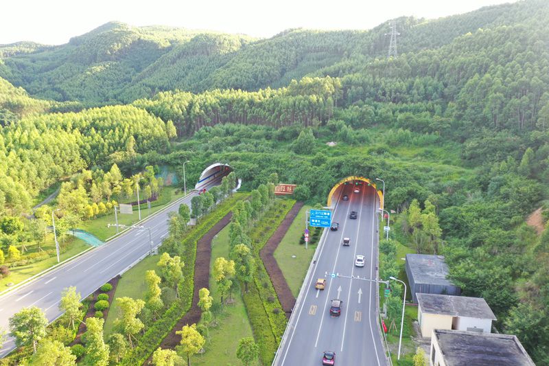 1621780081671726.jpg 21_800.jpg