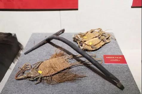 1629907312389437.jpg 20.jpg