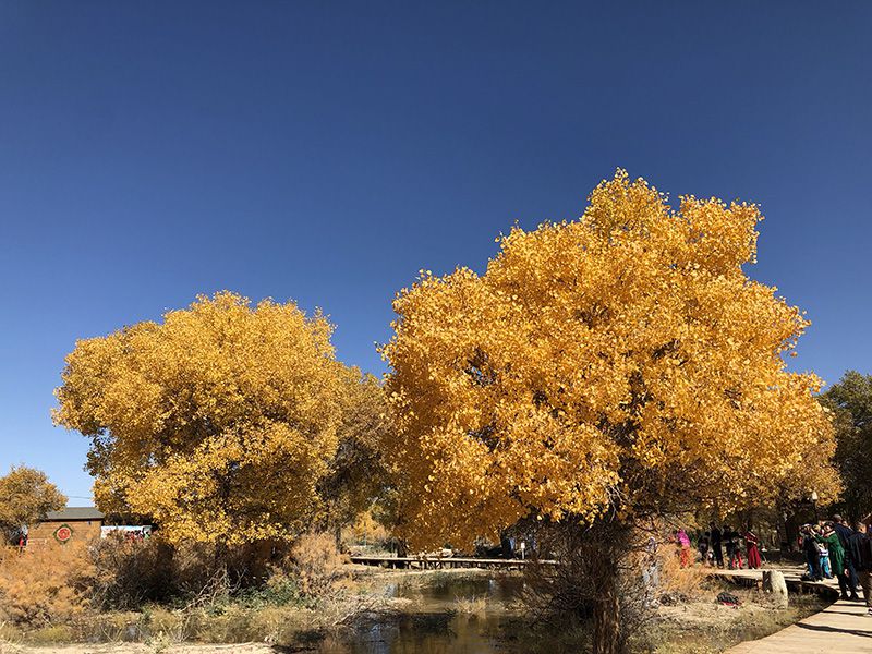 1631185382839119.jpg PHOTO_20210809_150938569.jpg