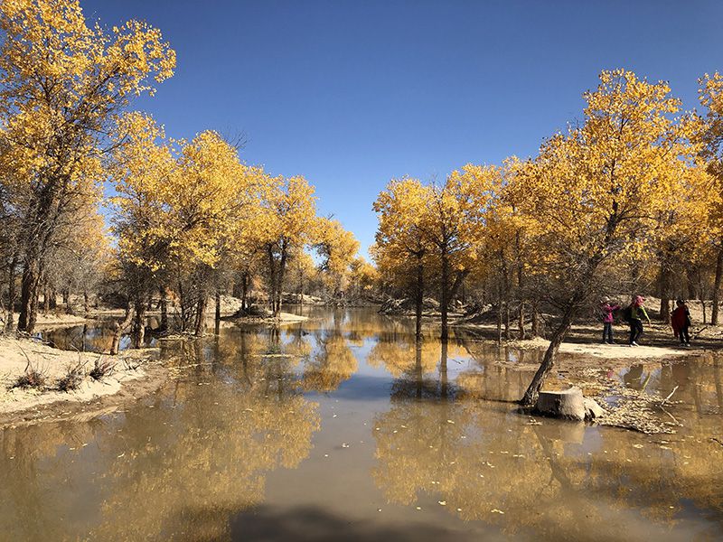 1631185409169200.jpg PHOTO_20210809_150939149.jpg