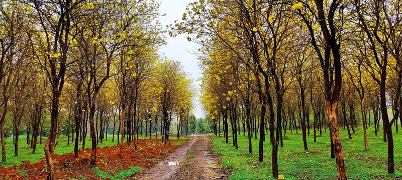 1650021483612944.jpg 圖六.jpg